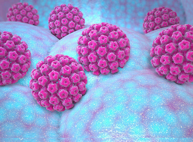 Hpv immunitási tabletták, A HPV-fertőzés előfordulása