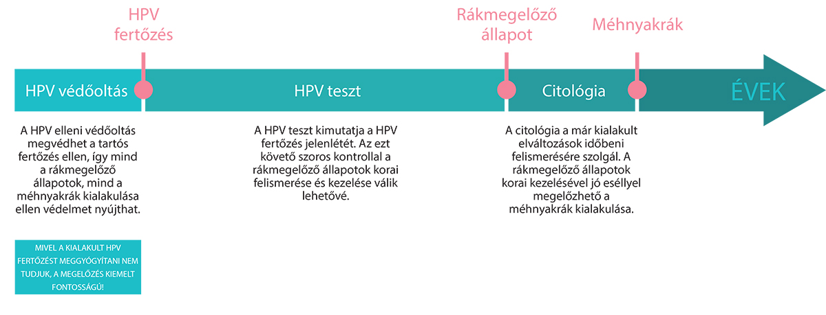 papillomavírus fertőzés meghatározása